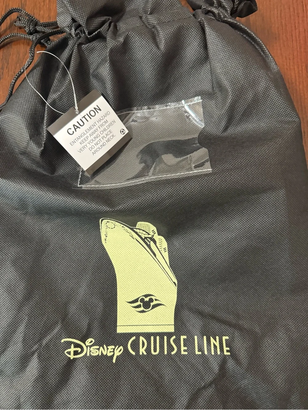 Disney Cruise Line Drawstring Backpack - Picture 2 of 5